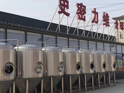 提蒙乡精酿啤酒设备厂—如何判断精酿啤酒设备的密封件需要更换？